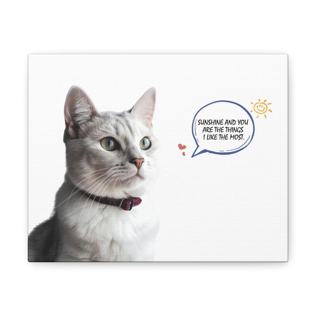 Cat with Sunshine - Personalized Pet Portrait Gifts Canvas Prints
